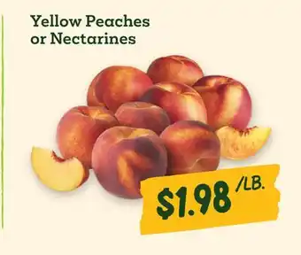 Sprouts Farmers Market Yellow Peaches or Nectarines offer