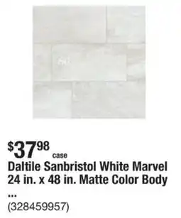 The Home Depot Daltile Sanbristol White Marvel 24 in. x 48 in. Matte Color Body offer