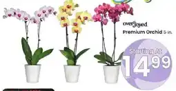 Albertsons Premium orchid offer