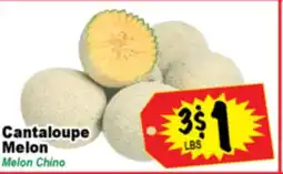 Superior Grocers Cantaloupe Melon offer