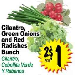 Superior Grocers Cilantro, Green Onions and Red Radishes Bunch offer