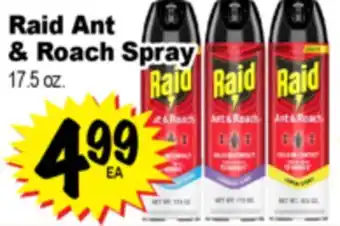 Superior Grocers Raid Ant & Roach Spray offer