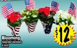 Superior Grocers Blooming offer