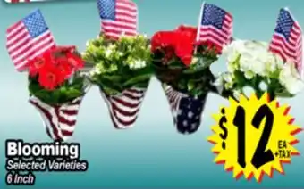 Superior Grocers Blooming offer