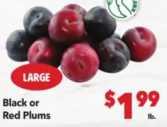 Vallarta Supermarkets Black or Red Plums offer