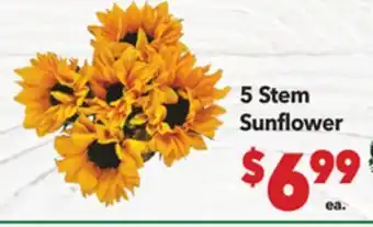 Vallarta Supermarkets 5 Stem Sunflower offer