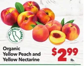 Vallarta Supermarkets Organic Yellow Peach and Yellow Nectarine offer
