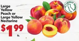 Vallarta Supermarkets Large Peach or Large Yellow Nectarine offer