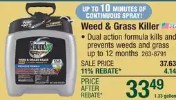 Menards Weed & Grass Killer offer