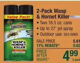 Menards 2-Pack Wasp & Hornet Killer offer