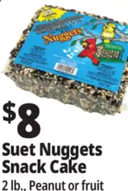 Ocean State Job Lot C&S Songbird Snak with Peanut Suet Nuggets 32 oz offer