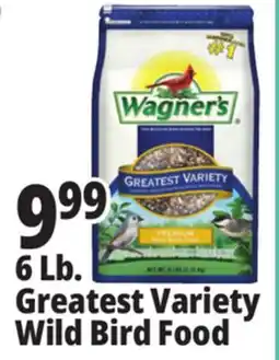 Ocean State Job Lot Wagner's Greatest Variety Deluxe Wild Bird Food 6 lbs offer