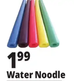 Ocean State Job Lot Assorted Pool Noodles offer
