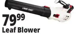 Ocean State Job Lot Leaf Blower offer