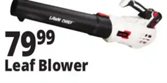 Ocean State Job Lot Leaf Blower offer