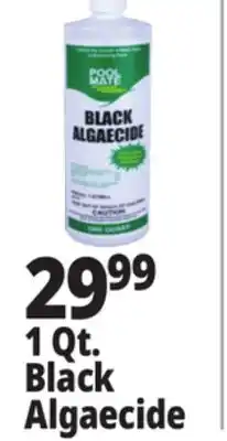 Ocean State Job Lot Pool Mate Black Algaecide 1 Qt offer