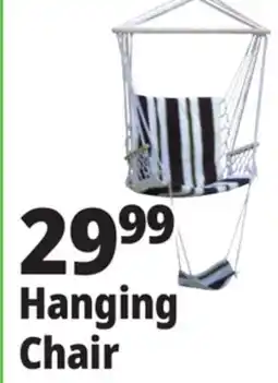 Ocean State Job Lot Hanging Chair offer