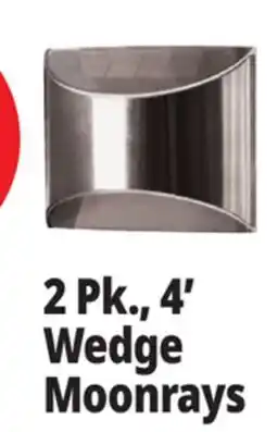 Ocean State Job Lot 2 Pk., 4' Wedge Moonrays offer