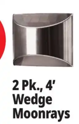 Ocean State Job Lot 2 Pk., 4' Wedge Moonrays offer