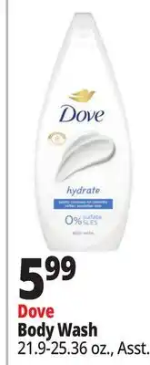 Ocean State Job Lot Dove Body Wash offer