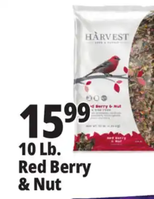 Ocean State Job Lot 10 Lb. Red Berry & Nut Bird Food offer