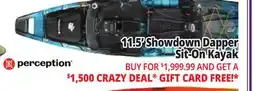 Ocean State Job Lot Perception Showdown 11.5 Fishing Pedal Kayak Dapper offer