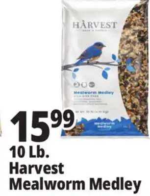 Ocean State Job Lot 10 Lb. Harvest Mealworm Medley offer