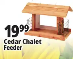 Ocean State Job Lot Cedar Chalet Feeder offer
