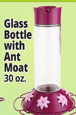 Ocean State Job Lot Glass Bottle with Ant Moat offer