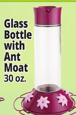 Ocean State Job Lot Glass Bottle with Ant Moat offer
