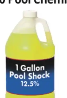 Ocean State Job Lot Liquid Pool Shock 1 Gal offer
