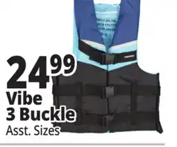 Ocean State Job Lot Vibe 3 Buckle offer