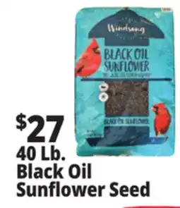 Ocean State Job Lot Black Oil Sunflower Seeds 40 lbs offer