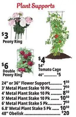 Ocean State Job Lot Plant Supports offer