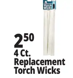 Ocean State Job Lot Fiberglass Torch Wicks 4 Pack offer