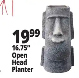 Ocean State Job Lot 16.75 Open Head Planter offer