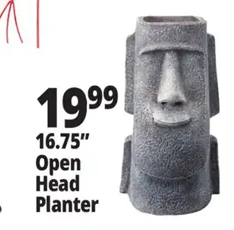 Ocean State Job Lot 16.75 Open Head Planter offer