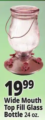 Ocean State Job Lot Perky Pet Top Fill Glass Hummingbird Feeder 24 oz offer