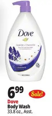 Ocean State Job Lot Dove Body Wash offer