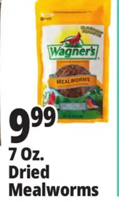 Ocean State Job Lot 7 Oz. Dried Mealworms offer