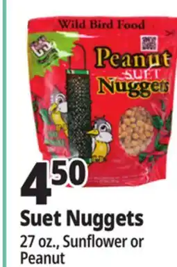 Ocean State Job Lot C&S Wire Bird Feeder offer