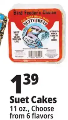 Ocean State Job Lot Suet Cakes offer