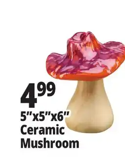 Ocean State Job Lot Large Ceramic Mushroom Assorted offer