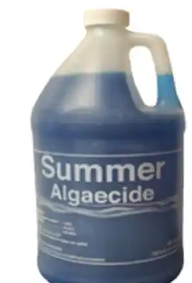 Ocean State Job Lot Summer Algaecide 1 Gal offer