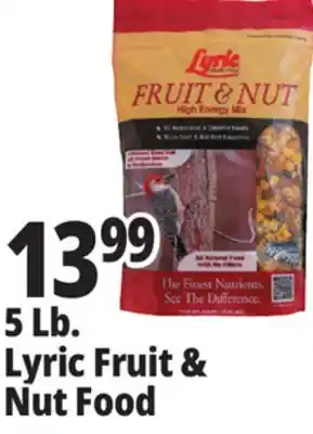Ocean State Job Lot Lyric Fruit and Nut High Energy Wild Bird Food Mix 5 lbs offer