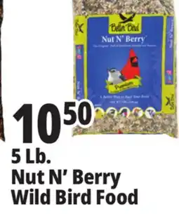 Ocean State Job Lot Better Bird Premium Nut N' Berry Bird Food 5 lbs offer