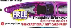Ocean State Job Lot Perception Hangtime 11.0 Recreational Kayak Mystic offer