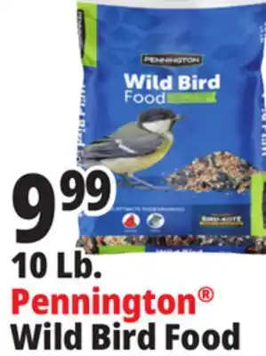 Ocean State Job Lot Pennington Wild Bird Food 10 lbs offer