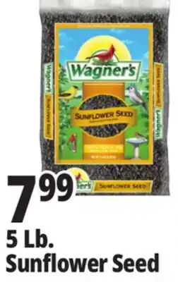 Ocean State Job Lot Wagner's Black Oil Sunflower Seed Wild Bird Food 5 lbs offer