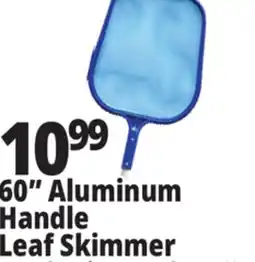 Ocean State Job Lot SwimWorks Leaf Skimmer with Aluminum Pole 60 offer